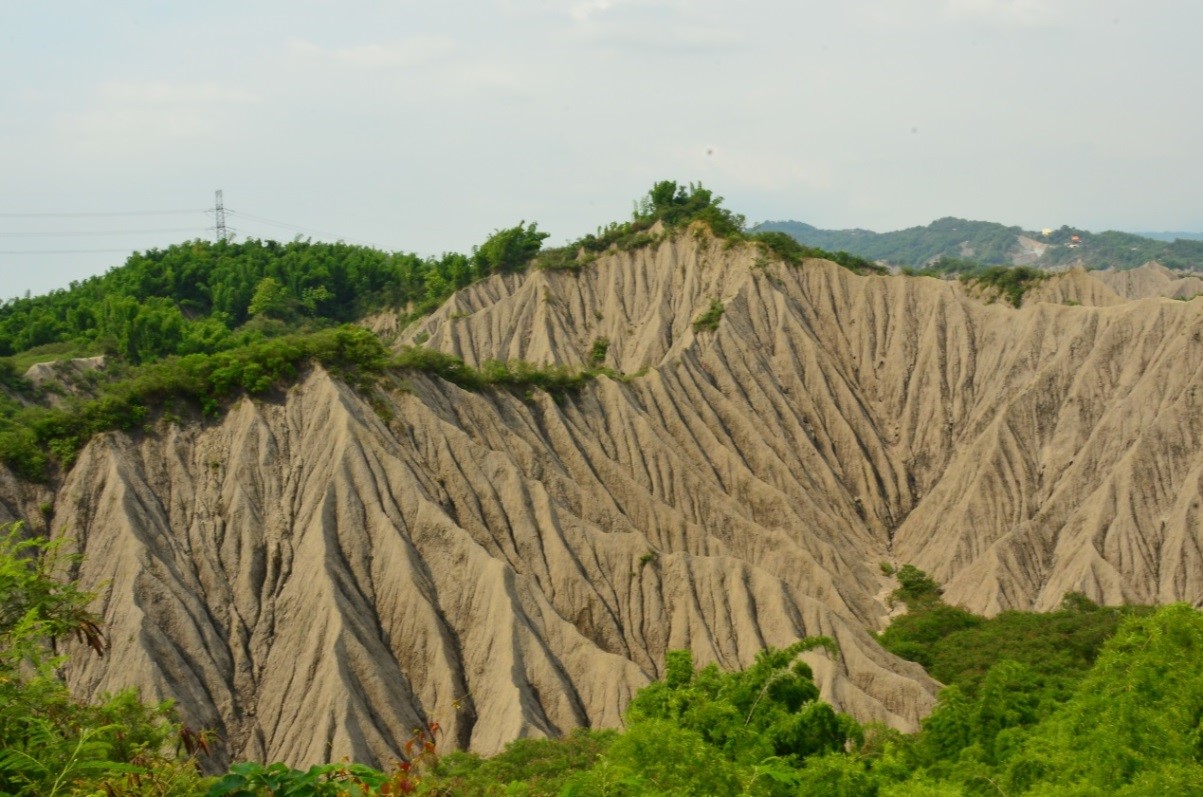 高雄田寮